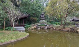 深圳地铁20号线竹子林站出入口是否会考虑离园博园较近处开口呢 深圳园博园好玩吗