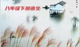 八年级下册期末语文提分方法 八年级下册语文期末