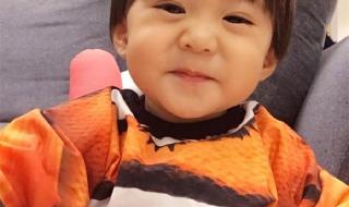 给你们歌词 给你们歌词