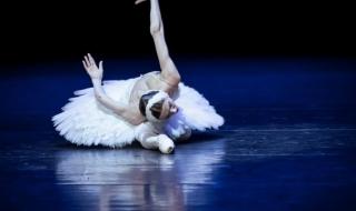 舞蹈天鹅之死 舞蹈天鹅之死