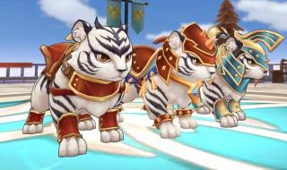 仙境传说ro和守护永恒的区别 仙境传说职业坐骑