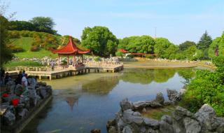 南京已经没有大厂了 南京已经没有大厂了