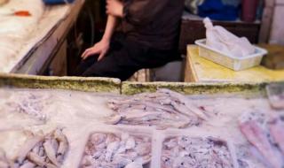 鱼界的颜值天花板 鱼界的颜值天花板