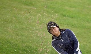 今年球赛什么时候开始